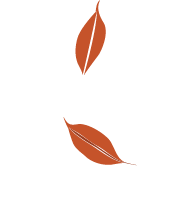 Comercial & Publicidad RC